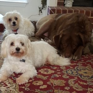 Meet your Posher, MaryK